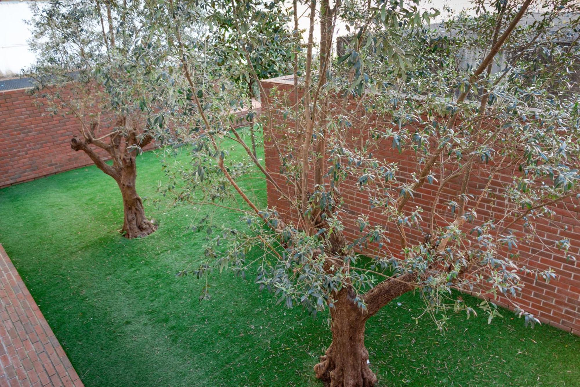 Magnolia & Guest house Porto